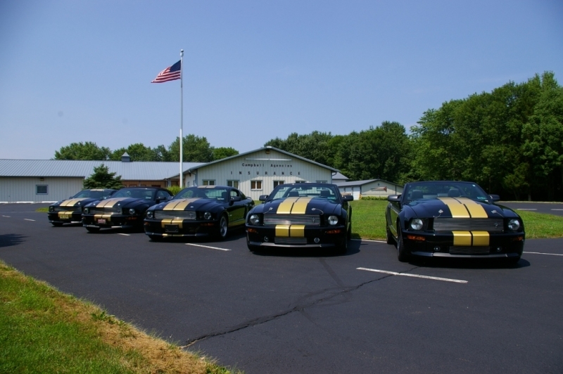 Shelby GTH's